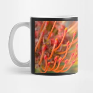 Pincushion Orange Flower Mug